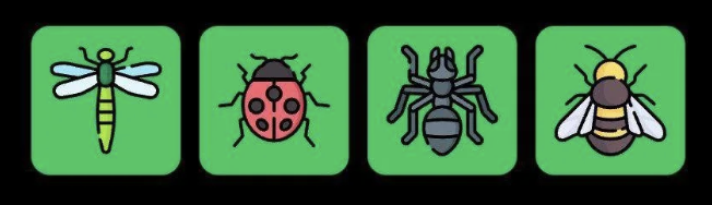 FLIES Daily Combo 17 April 2025